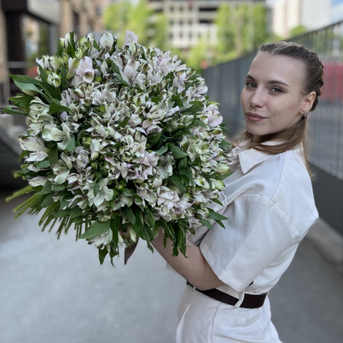 101 бело-фиолетовая альстромерия